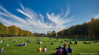 Wiese Universität Bonn